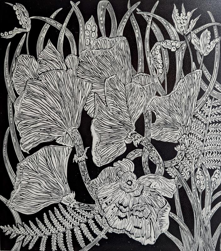 Autumn Garden - Fungi